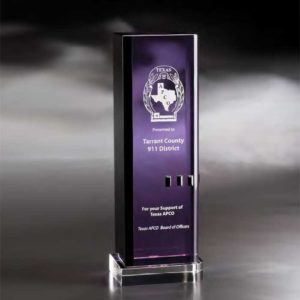 WSCD411 - WSCD411 | Crystal Ciudad Award