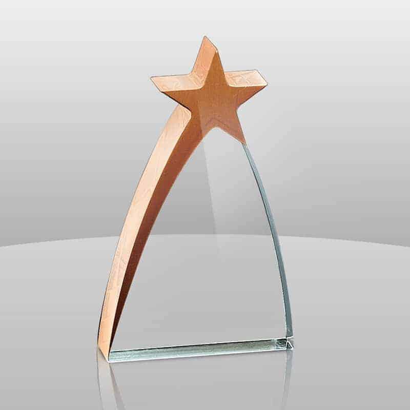 A-936 | New Star Award